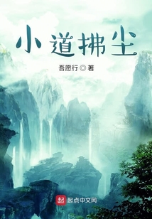 小道拂塵
