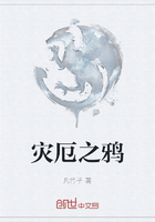 灾厄之鸦在线阅读