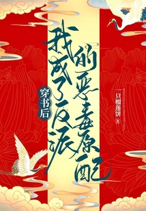 穿書后，我成了反派的惡毒原配