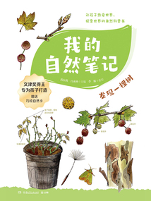 我的自然筆記:發(fā)現(xiàn)一棵樹(shù)