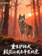 重生护林犬，校花让我去干东北虎在线阅读