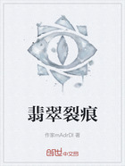 翡翠裂痕在线阅读