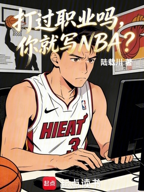 打过职业吗，你就写NBA？在线阅读