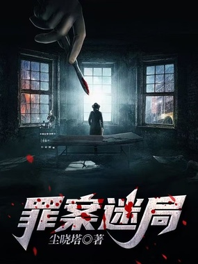罪案迷局在线阅读