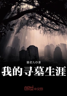 My Tomb-Seeking Career cover