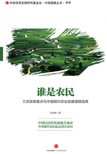 誰是農民：三農政策重點與中國現代農業發展道路選擇（大字本）
