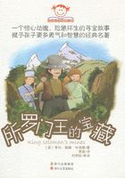 所罗门王的宝藏在线阅读