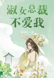 淑女總裁不愛我