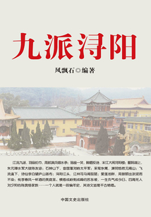 九派潯陽