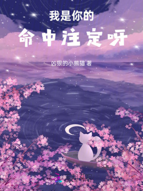 我是你的命中注定呀在线阅读