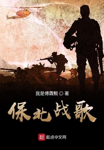 保北戰歌