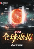 精靈之全球虛擬在線閱讀
