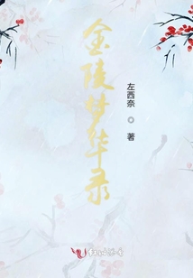 金陵夢華錄