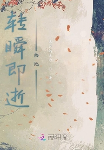 轉瞬即逝的他