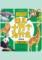 幼儿十万个为什么(精编版):可爱的动物在线阅读