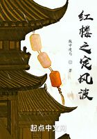 紅樓之定風波在線閱讀