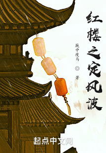 紅樓之定風(fēng)波