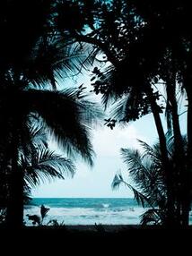 保姆要我做她儿媳