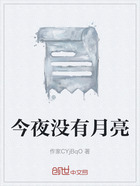 今夜没有月亮在线阅读