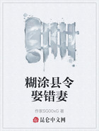糊涂县令娶错妻在线阅读