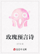 玫瑰預言詩在線閱讀