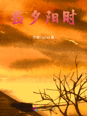 当夕阳时在线阅读