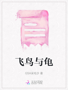 飞鸟与龟在线阅读