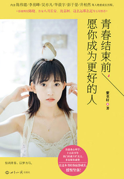青春结束前，愿你成为更好的人 封面