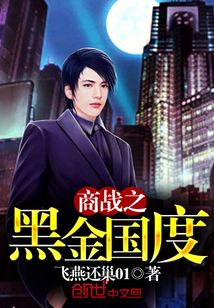 商战之黑金国度