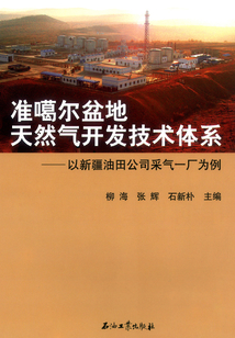 準噶爾盆地天然氣開發技術體系