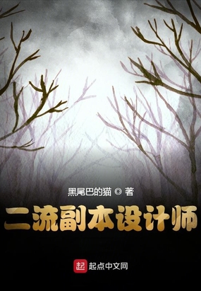 二流副本设计师在线阅读
