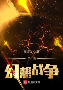 全面幻想戰爭