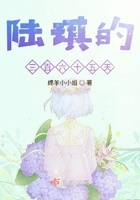 陆琪的三百六十五天