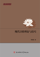 现代诗歌理论与技巧