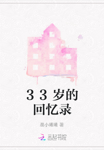 33歲的回憶錄