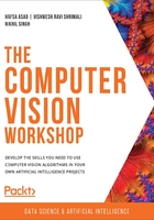 The Computer Vision Workshop在线阅读