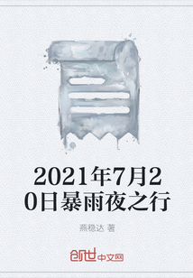 2021年7月20日暴雨夜之行