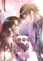 霍三爷的闪婚娇妻在线阅读
