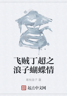 飛賊丁超之浪子蝴蝶情
