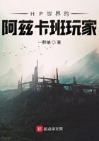 HP世界的阿兹卡班玩家