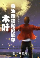 魂穿木叶成为博人在线阅读