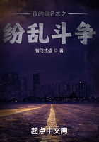 夜的命名术之纷乱斗争