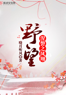 野望——涅磐之鳳翔