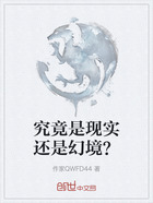 究竟是现实还是幻境？在线阅读