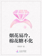 烟花易冷,棉花糖不化在线阅读