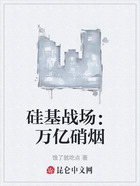 硅基战场:万亿硝烟在线阅读