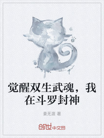 觉醒双生武魂，我在斗罗封神在线阅读