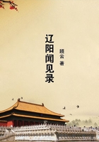 遼陽聞見錄在線閱讀