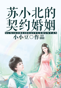 蘇小北的契約婚姻