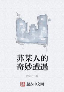 蘇某人的奇妙遭遇